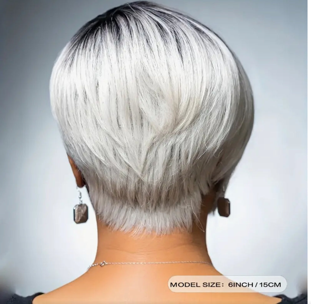 Shag Layered Short Synthetic Wig -1B Silver- Delores