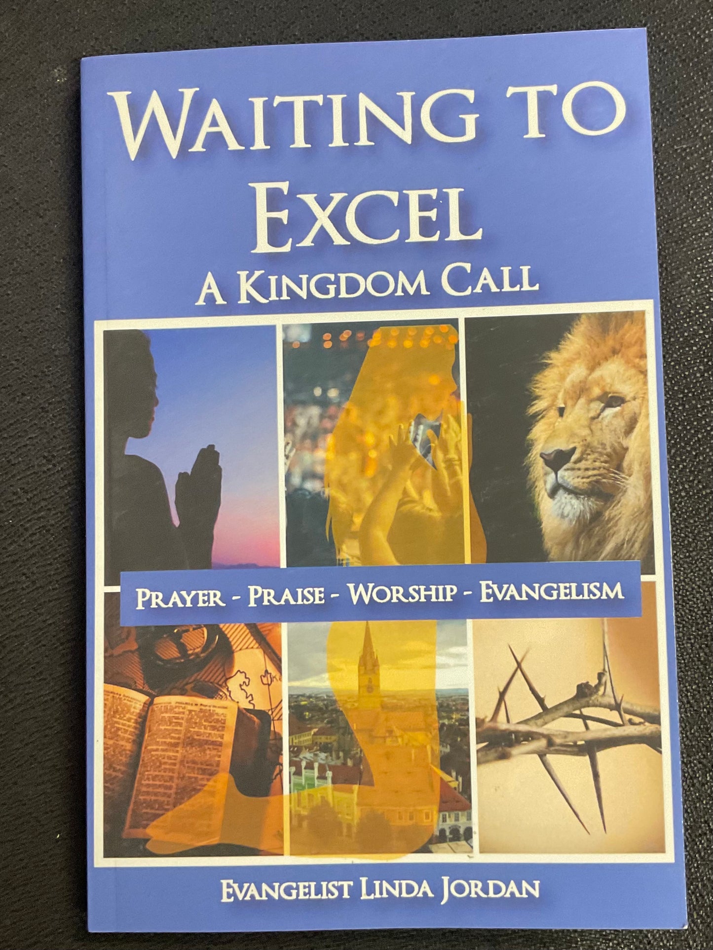Book: Waiting to Excel